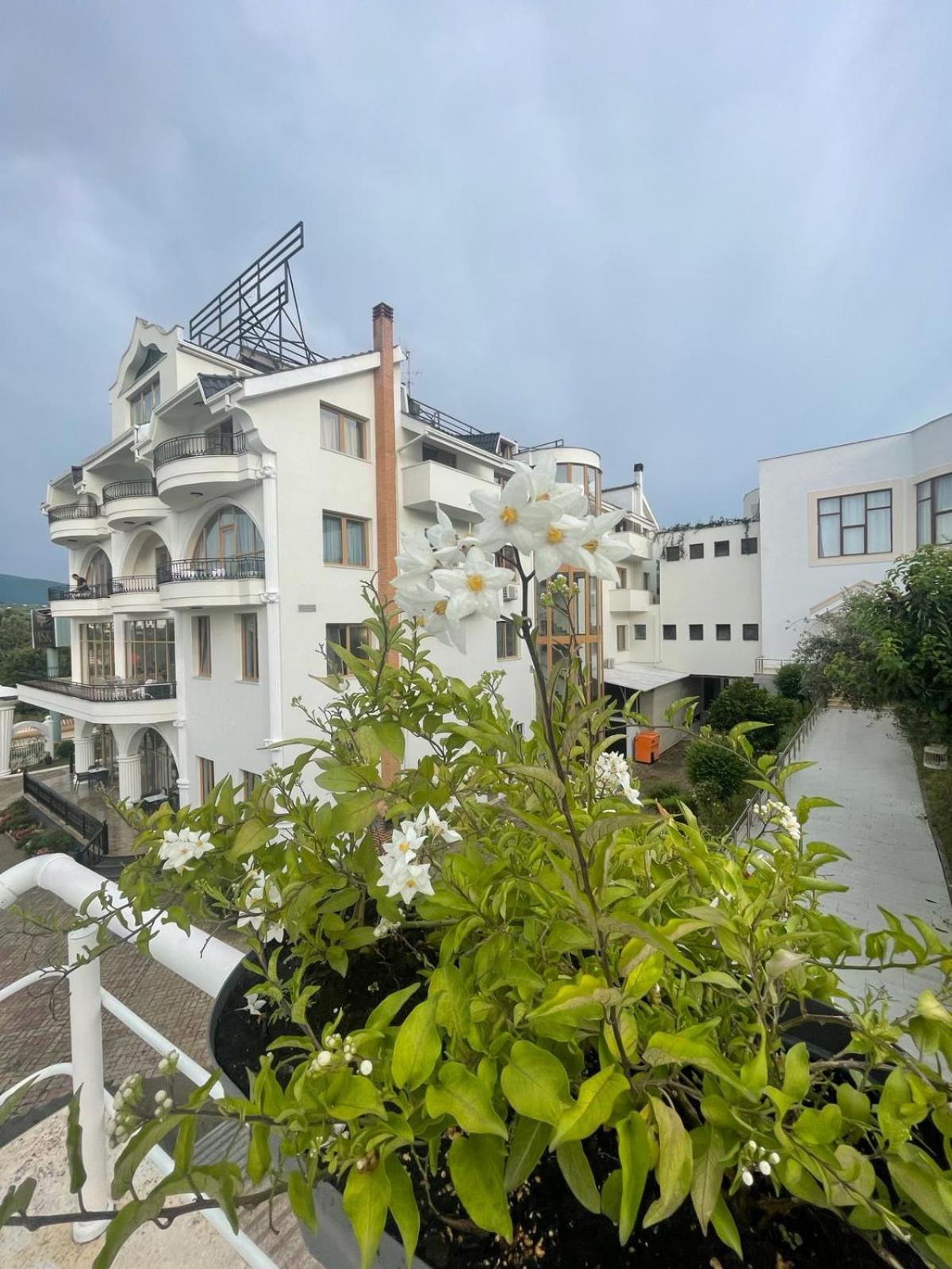 Misk & 5* Tirana