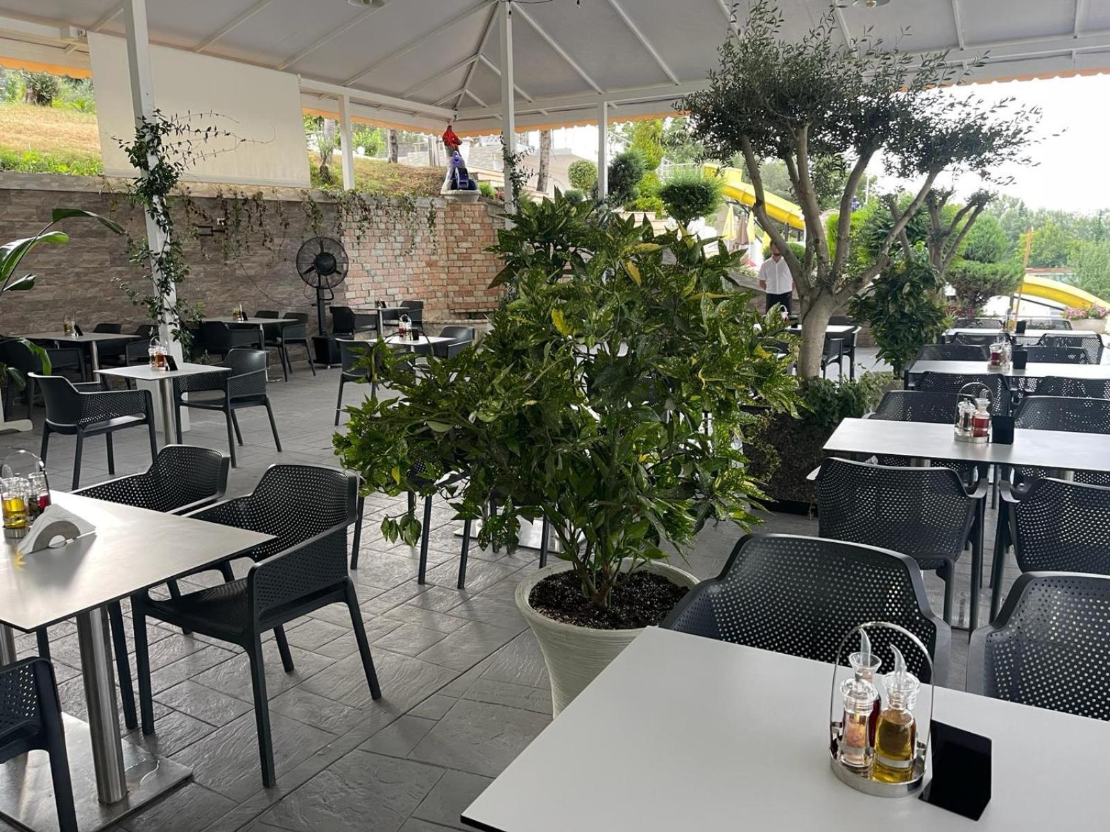 Misk & Tirana